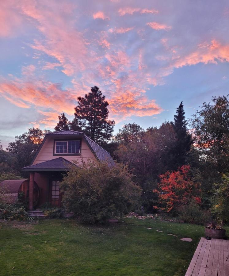 Angel Cottage With A Sauna Or The Cozy With A Jacuzzi Tub, Both Are Studios With A View Of Mount Shasta Exterior foto